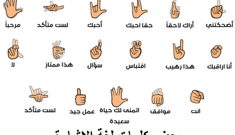معلومات عن لغة الإشارة