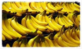 مشروع زراعة الموز